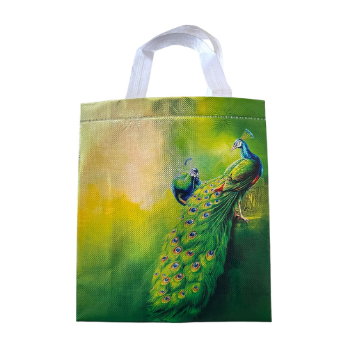 non woven bag nwb01 68f49e8fc781a