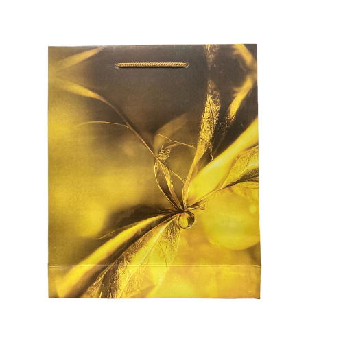 paper bag pb12 68f4a70969e34